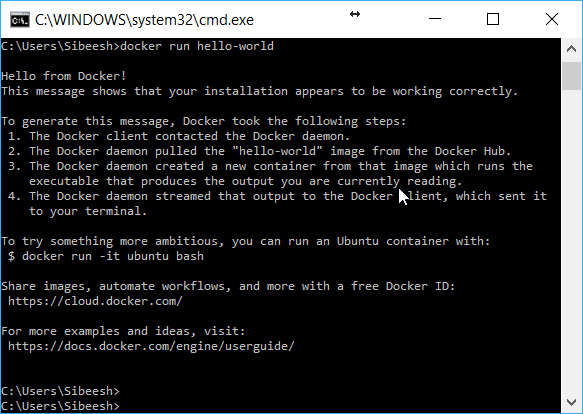 Docker-Check-From-Command-Window